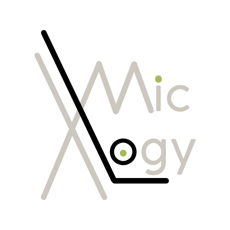 MIC LOGY – Asesores de Seguros